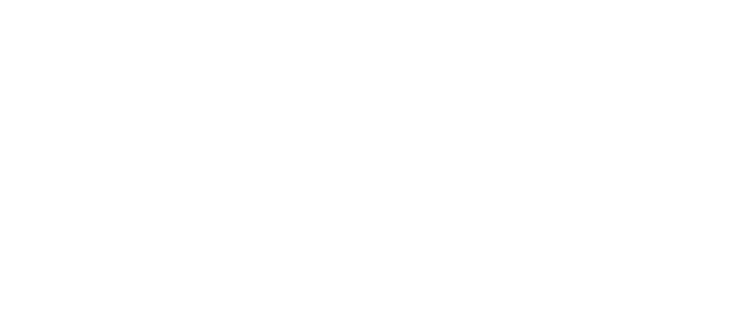allpaanel logo